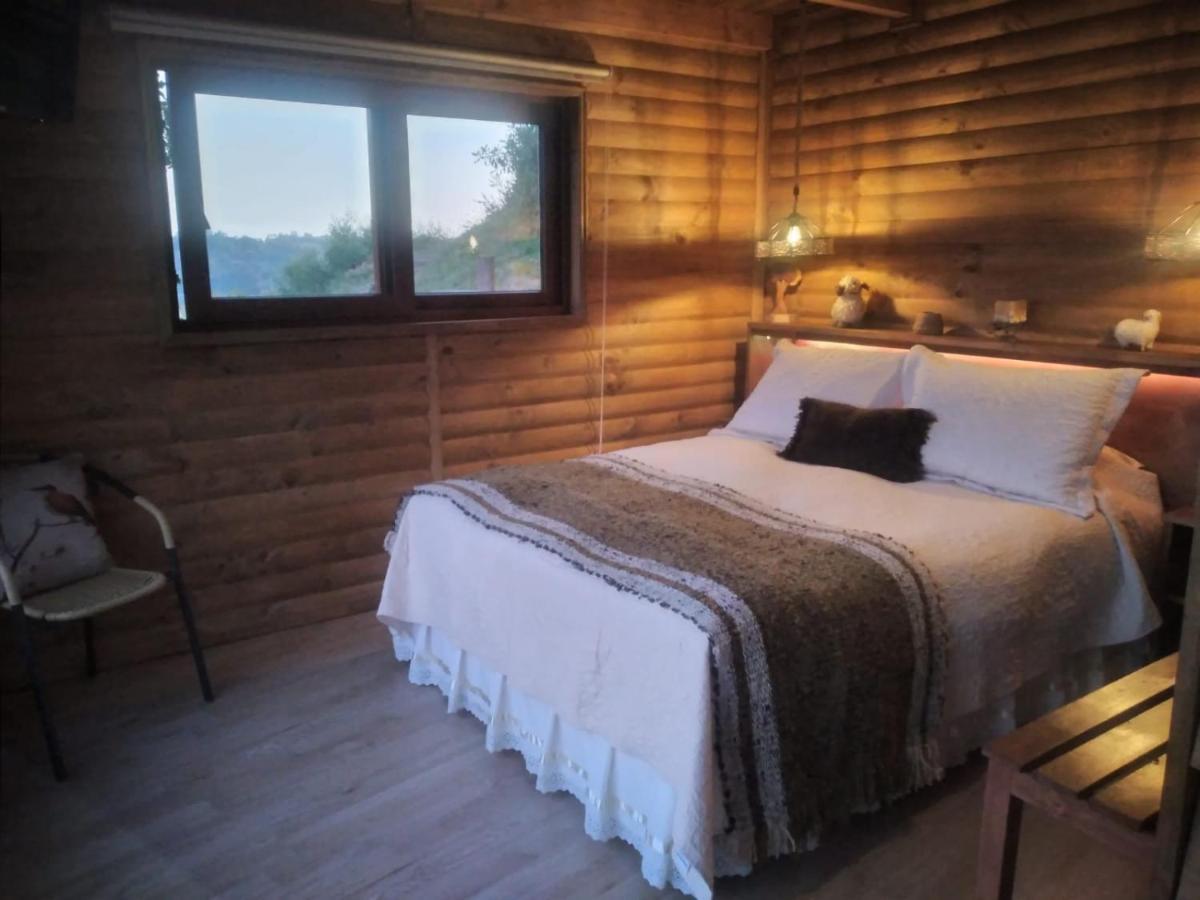 Turismo Del Bosque Apartment Кастро Екстериор снимка